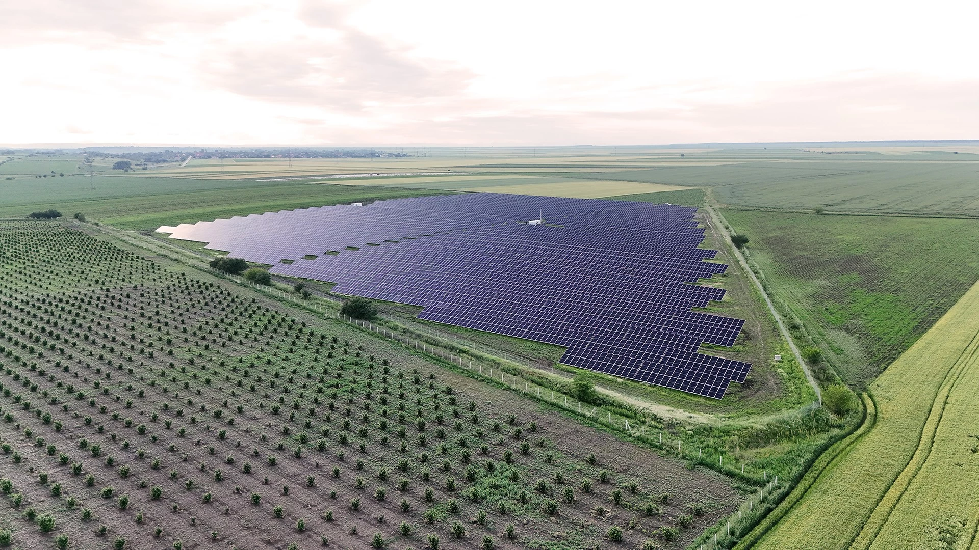 Șimian Solar Parks 1 & 2 (2023)